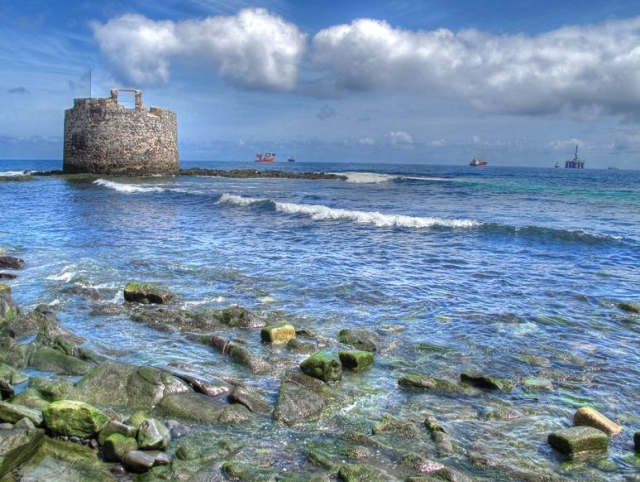 conoce las palmas desde el mar